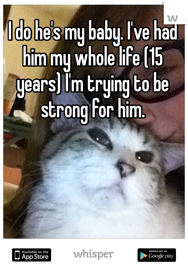 I do he's my baby. I've had him my whole life (15 years) I'm trying to be strong for him. 