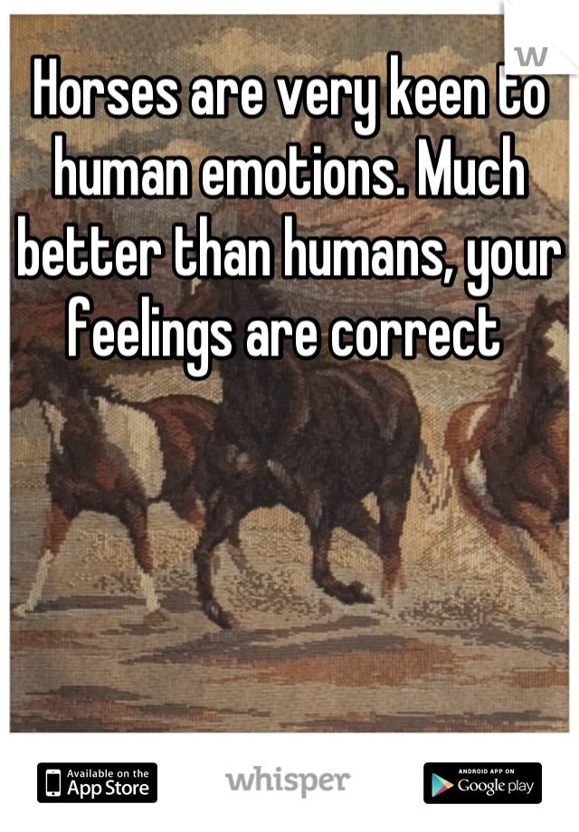 Horses are very keen to human emotions. Much better than humans, your feelings are correct 