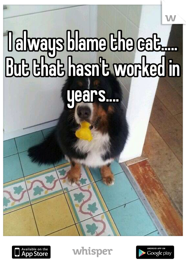 I always blame the cat..... But that hasn't worked in years....