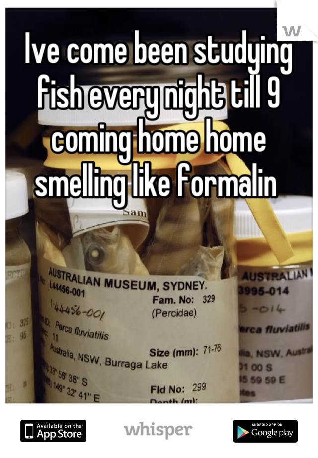 Ive come been studying fish every night till 9 coming home home smelling like formalin 