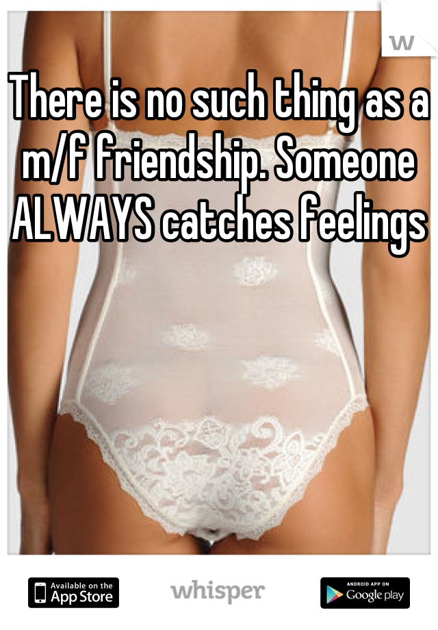 There is no such thing as a m/f friendship. Someone ALWAYS catches feelings