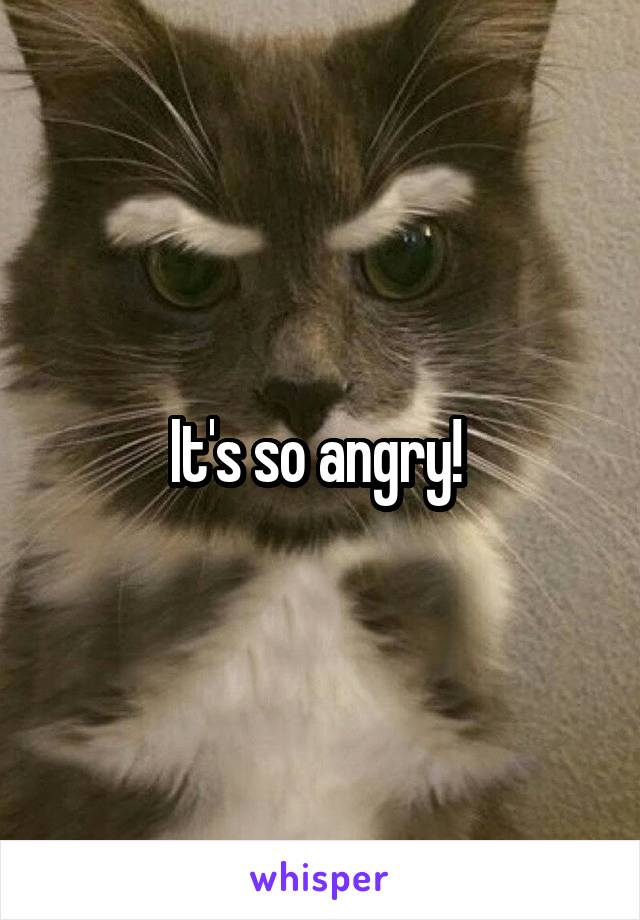  It's so angry!  