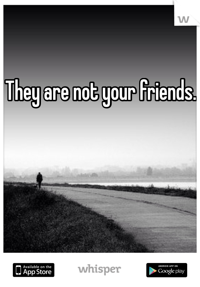 They are not your friends. 