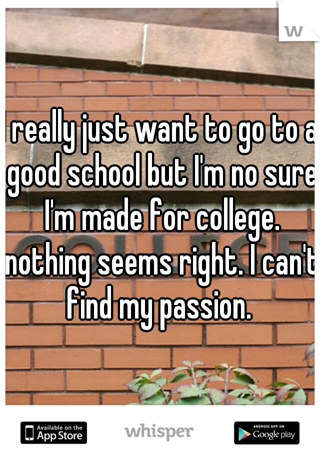 I really just want to go to a good school but I'm no sure I'm made for college. nothing seems right. I can't find my passion. 