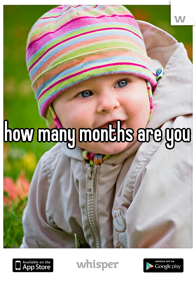 how many months are you