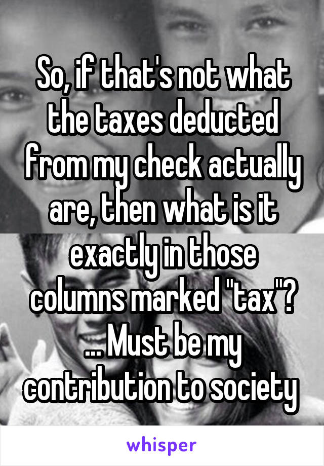 So, if that's not what the taxes deducted from my check actually are, then what is it exactly in those columns marked "tax"? ... Must be my contribution to society 