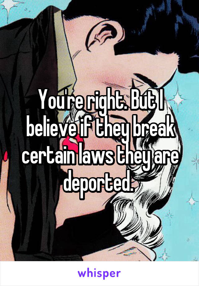 You're right. But I believe if they break certain laws they are deported. 