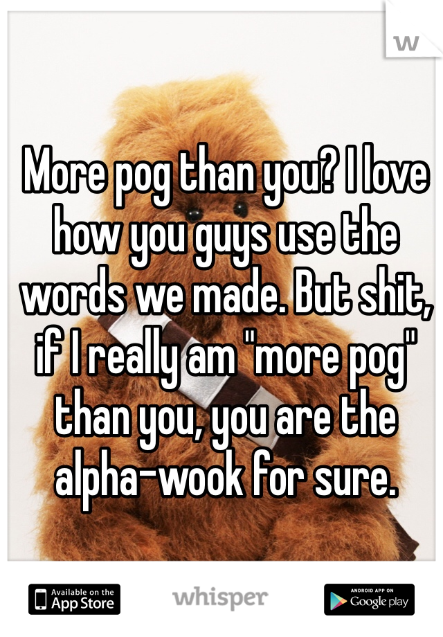 More pog than you? I love how you guys use the words we made. But shit, if I really am "more pog" than you, you are the alpha-wook for sure. 