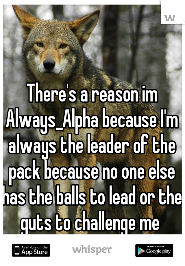 There's a reason im Always_Alpha because I'm always the leader of the pack because no one else has the balls to lead or the guts to challenge me 