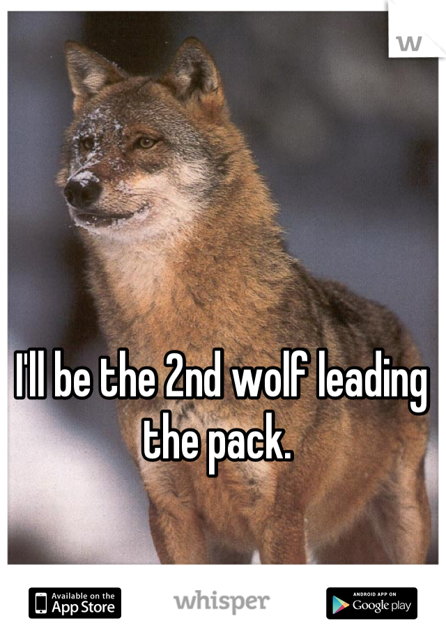 I'll be the 2nd wolf leading the pack. 