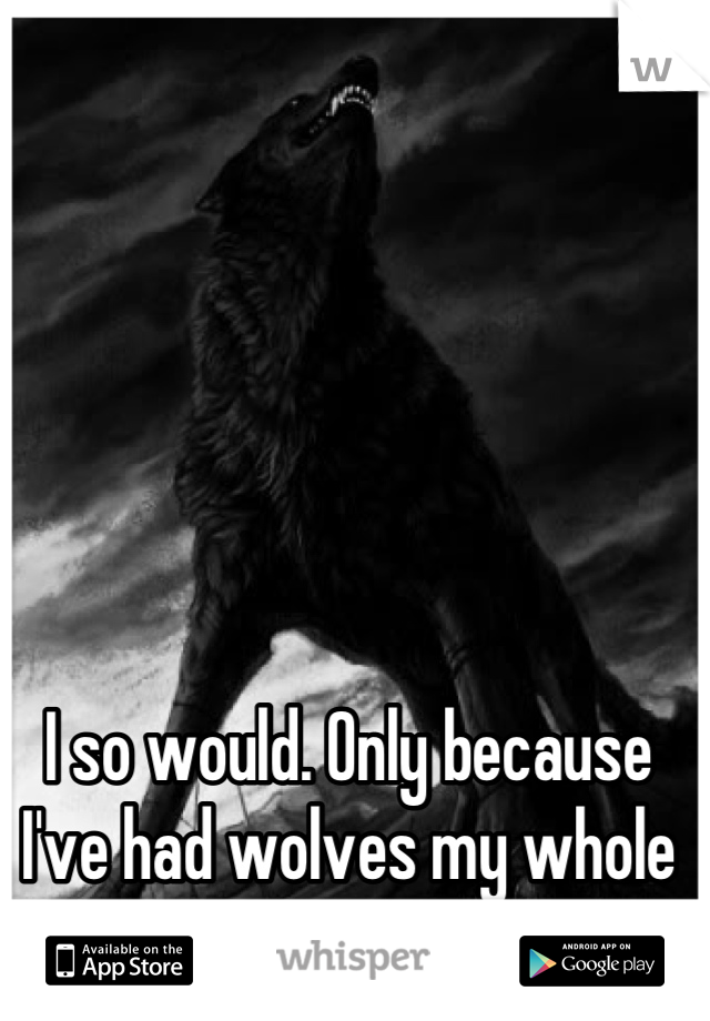 I so would. Only because I've had wolves my whole life(: 
