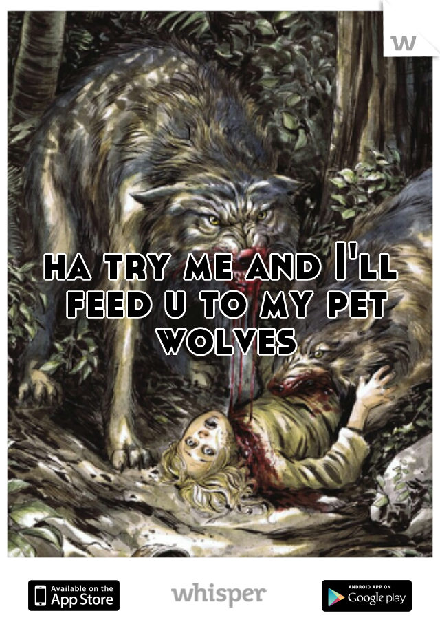 ha try me and I'll feed u to my pet wolves