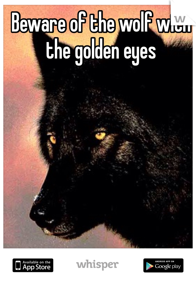 Beware of the wolf with the golden eyes