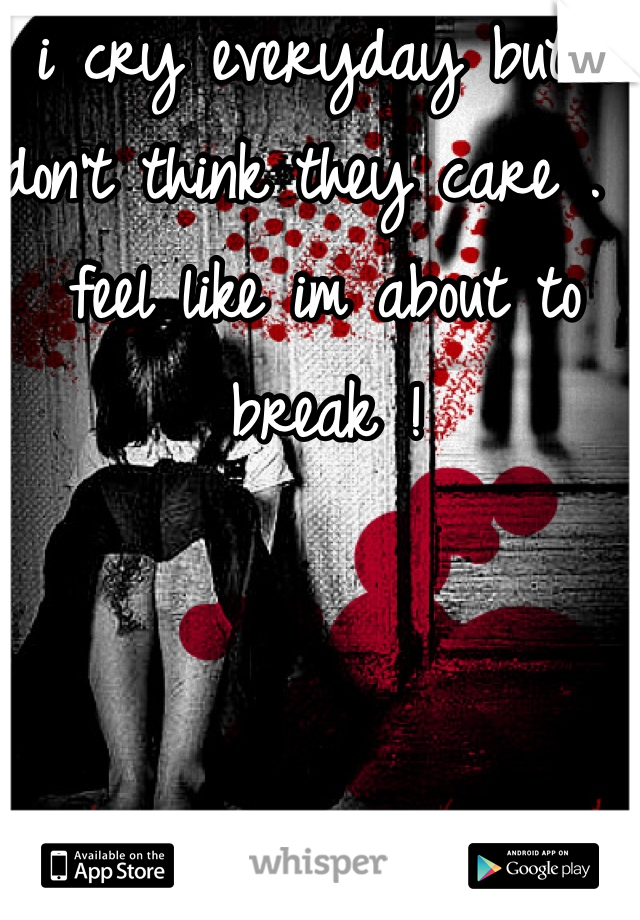 i cry everyday but i don't think they care . I feel like im about to break ! 
