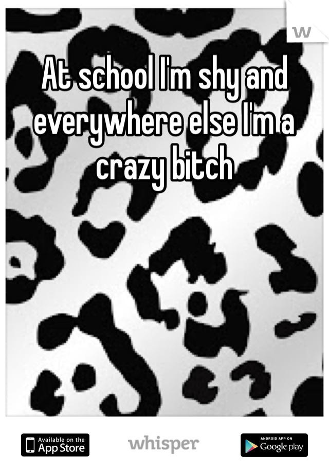 At school I'm shy and everywhere else I'm a crazy bitch 