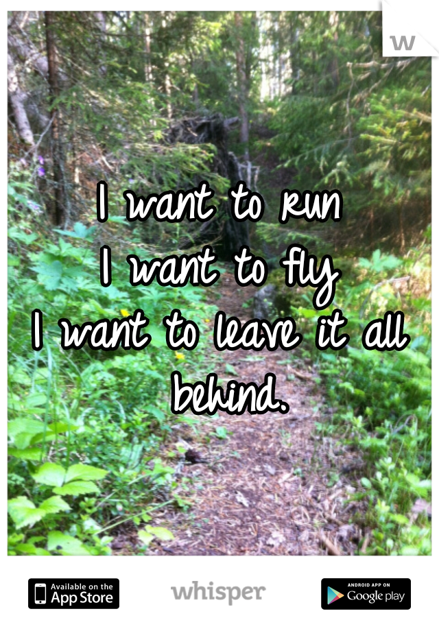 I want to run
I want to fly
I want to leave it all behind.