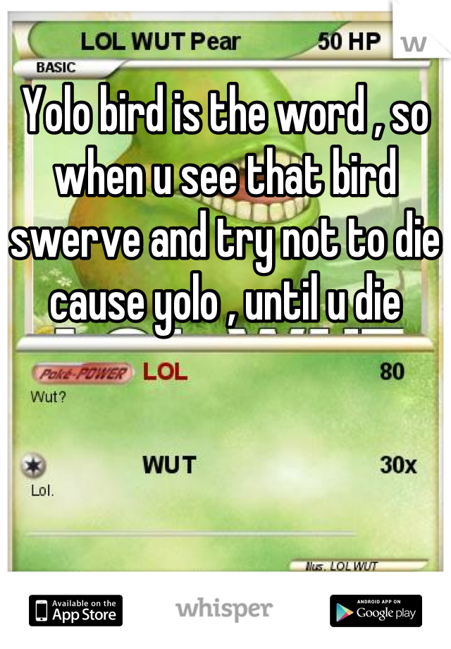 Yolo bird is the word , so when u see that bird swerve and try not to die cause yolo , until u die
