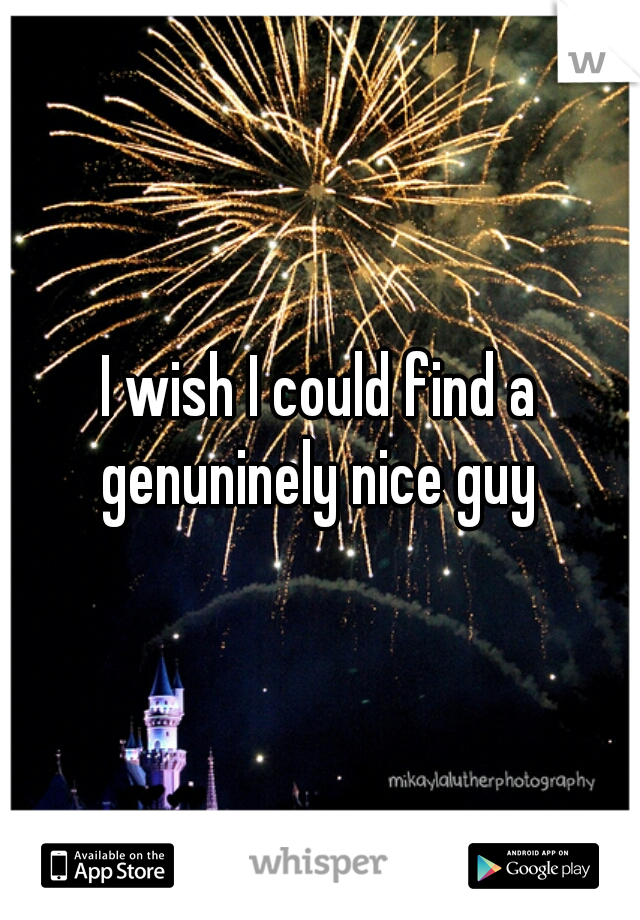 I wish I could find a genuninely nice guy 