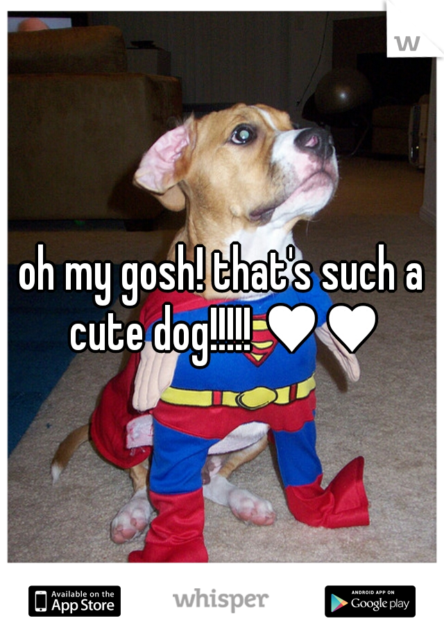 oh my gosh! that's such a cute dog!!!!! ♥♥