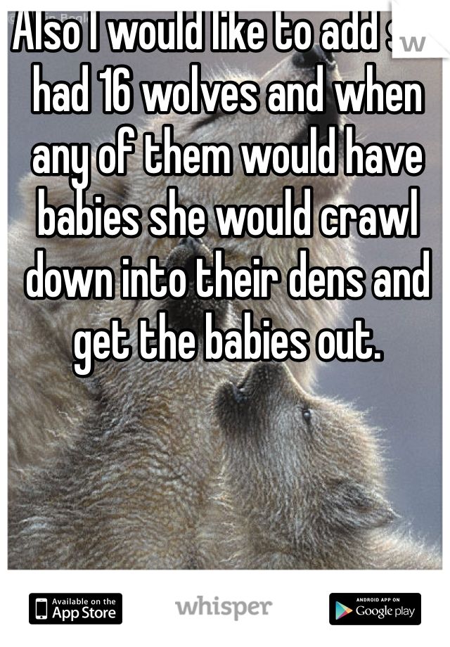 Also I would like to add she had 16 wolves and when any of them would have babies she would crawl down into their dens and get the babies out.