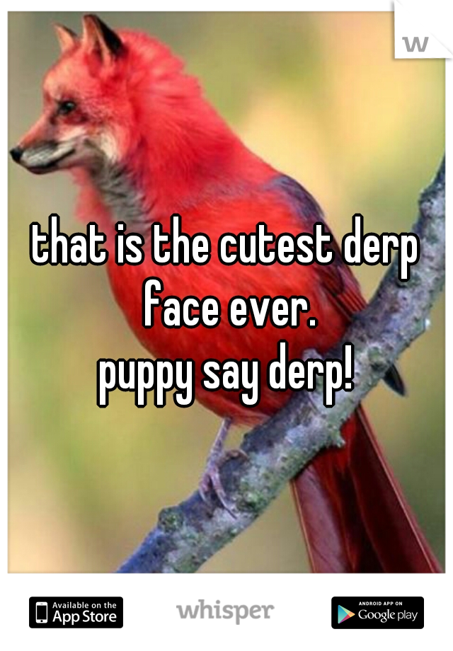 that is the cutest derp face ever.
puppy say derp!