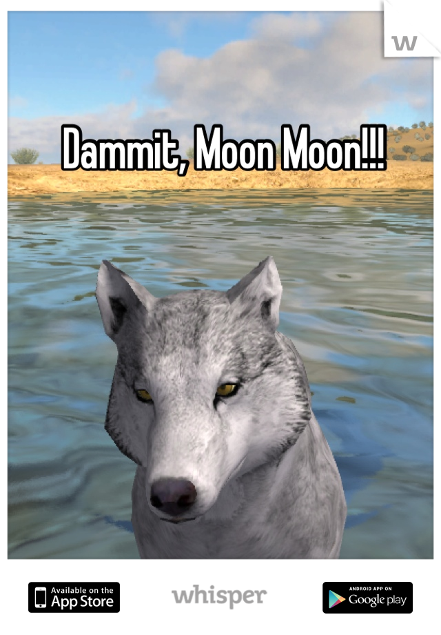 Dammit, Moon Moon!!!