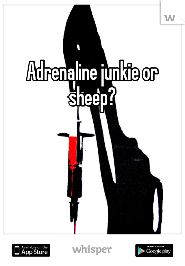 Adrenaline junkie or sheep?