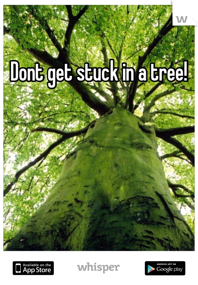 Dont get stuck in a tree!