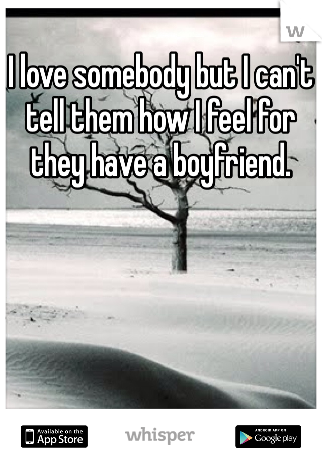I love somebody but I can't tell them how I feel for they have a boyfriend.