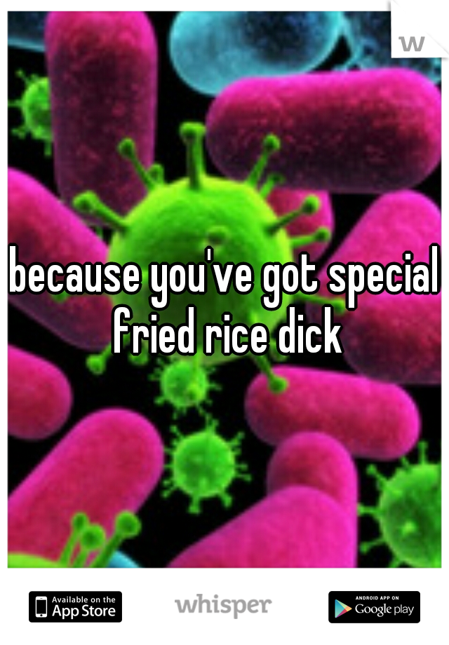 because you've got special fried rice dick