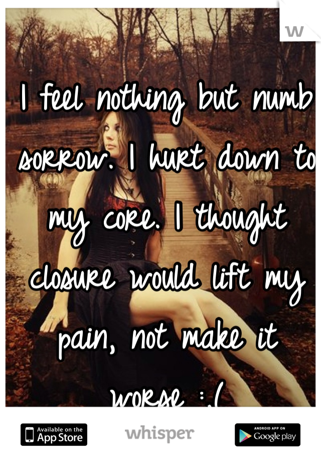 I feel nothing but numb sorrow. I hurt down to my core. I thought closure would lift my pain, not make it worse :,(