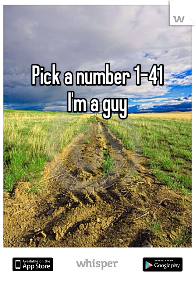 Pick a number 1-41 
I'm a guy
