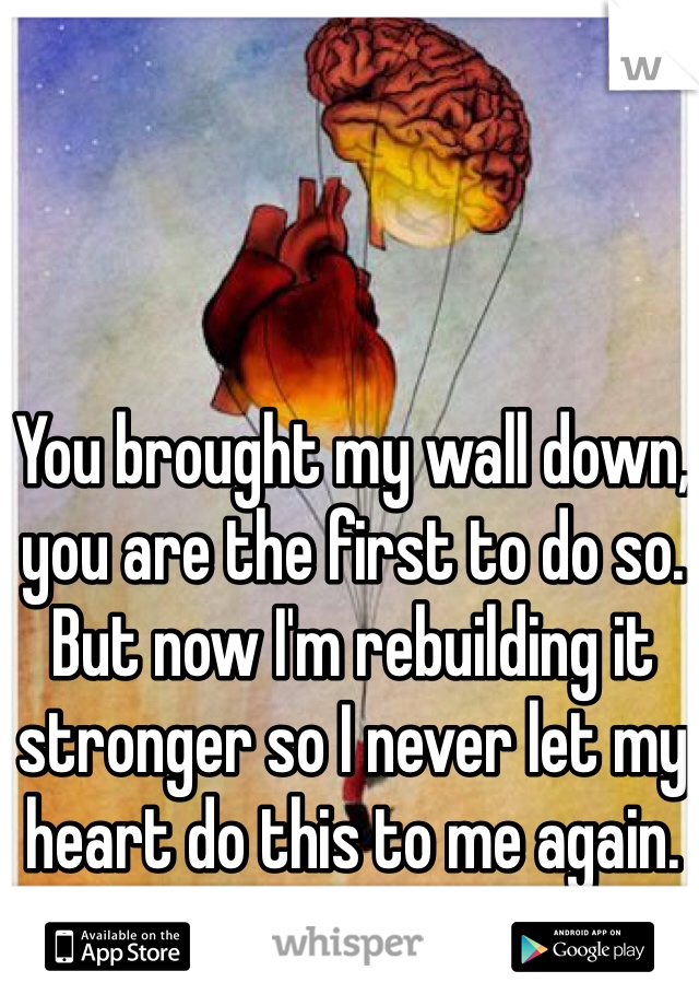 You brought my wall down, you are the first to do so. But now I'm rebuilding it stronger so I never let my heart do this to me again.