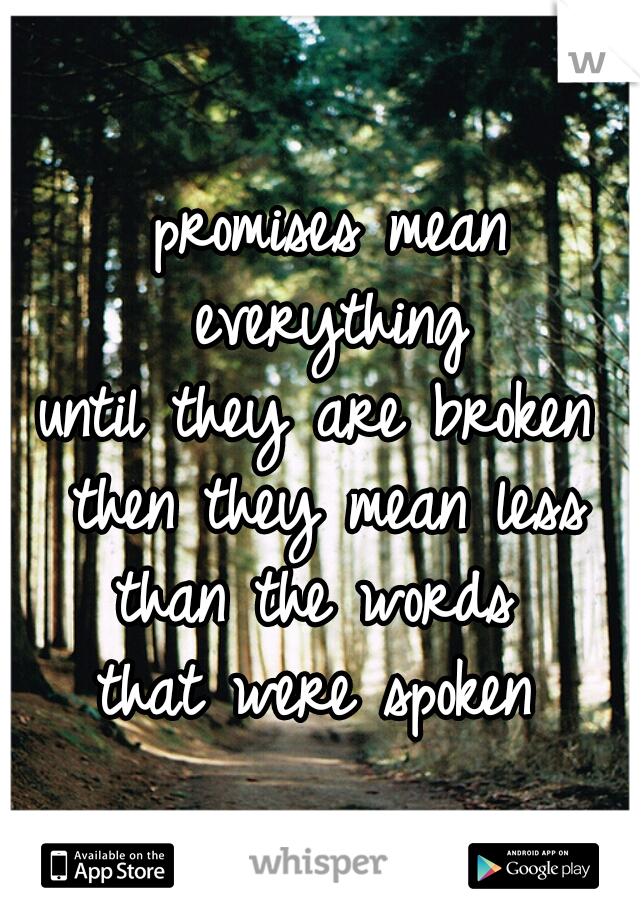 promises mean everything 
until they are broken 
then they mean less
than the words 
that were spoken 