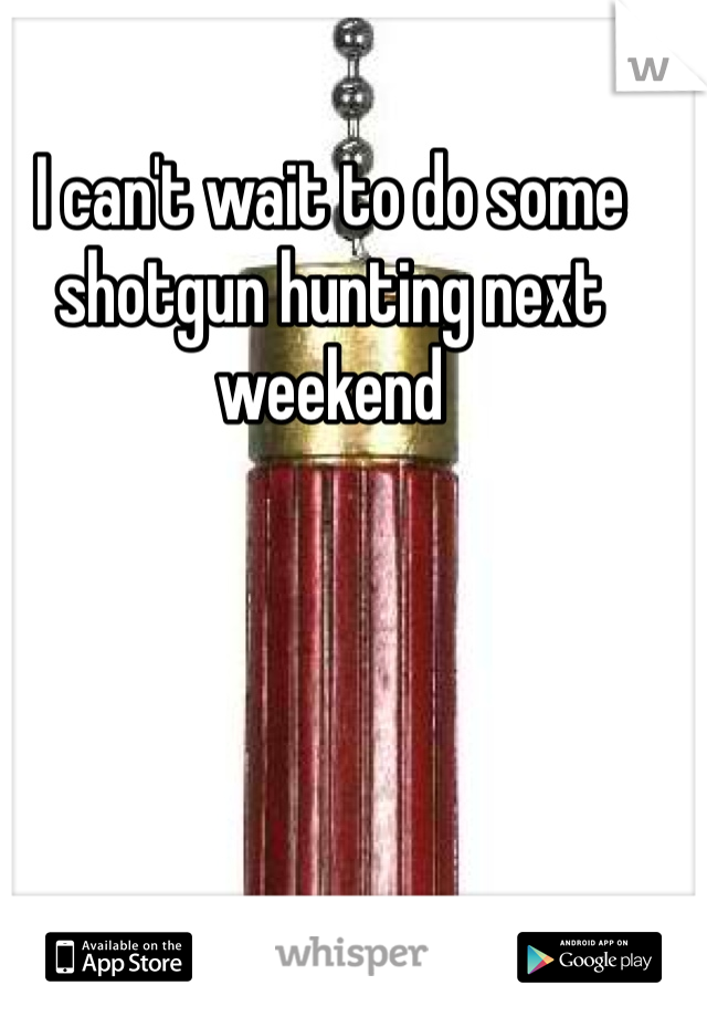 I can't wait to do some shotgun hunting next weekend