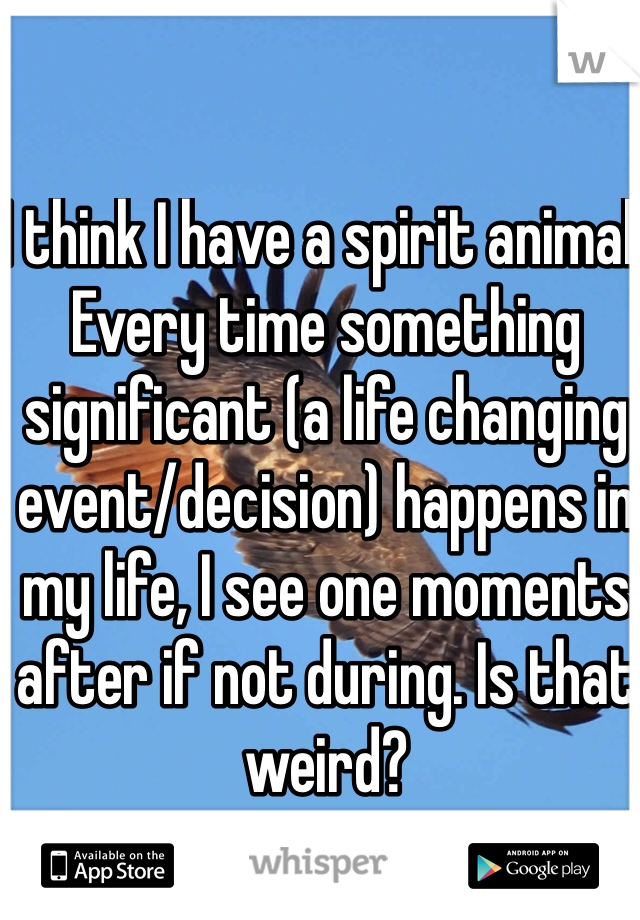 I think I have a spirit animal. Every time something significant (a life changing event/decision) happens in my life, I see one moments after if not during. Is that weird?