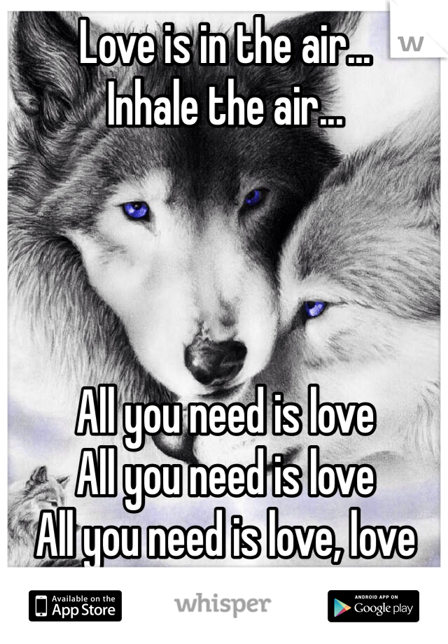 Love is in the air...
Inhale the air...




All you need is love
All you need is love
All you need is love, love
Love is all you need