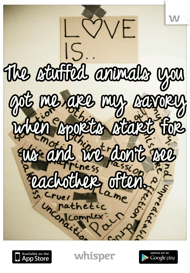 The stuffed animals you got me are my savory when sports start for us and we don't see eachother often.  