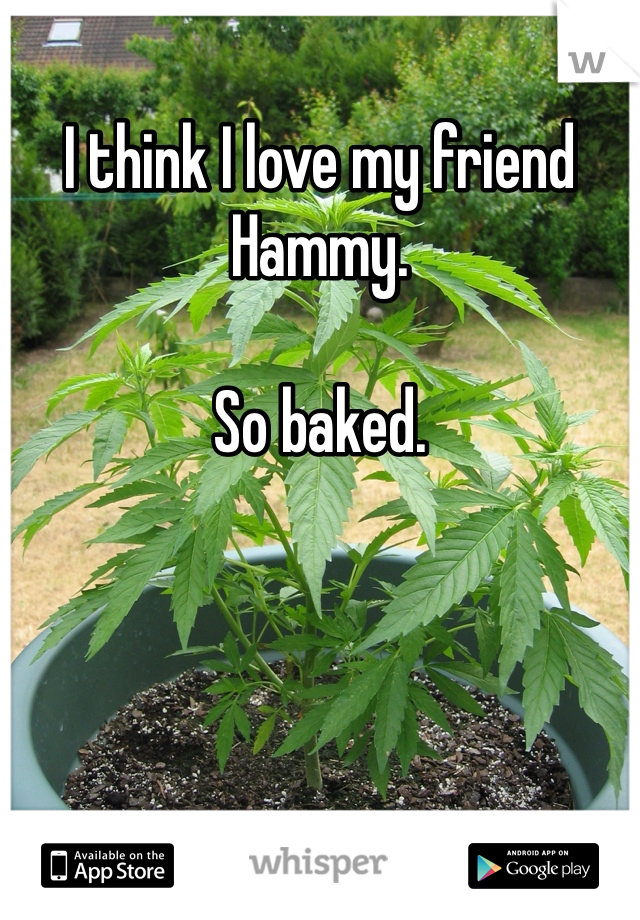 I think I love my friend Hammy. 

So baked.