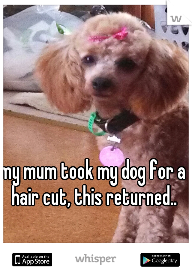 my mum took my dog for a hair cut, this returned..