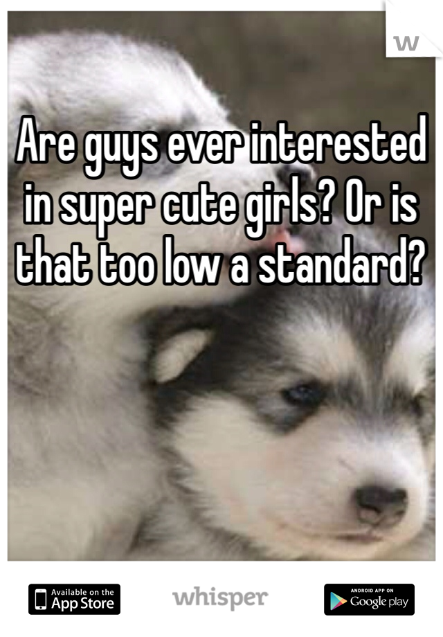 Are guys ever interested in super cute girls? Or is that too low a standard?