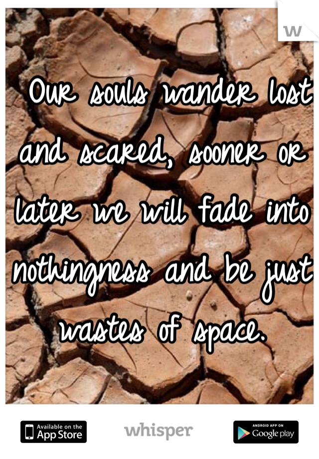  Our souls wander lost and scared, sooner or later we will fade into nothingness and be just wastes of space.