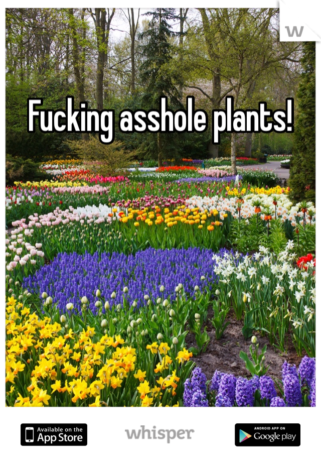 Fucking asshole plants!