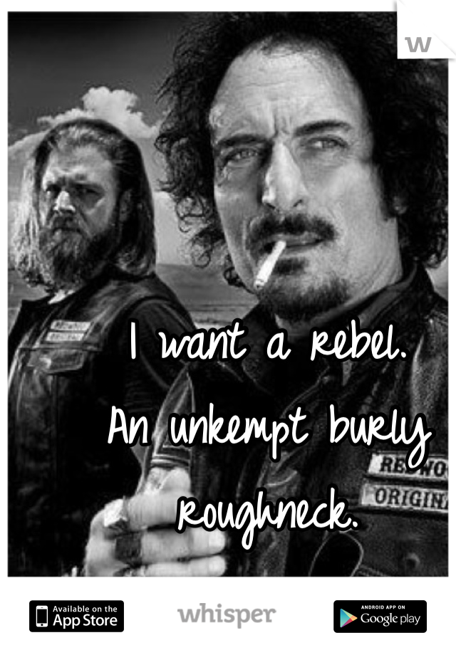 I want a rebel. 
An unkempt burly roughneck. 