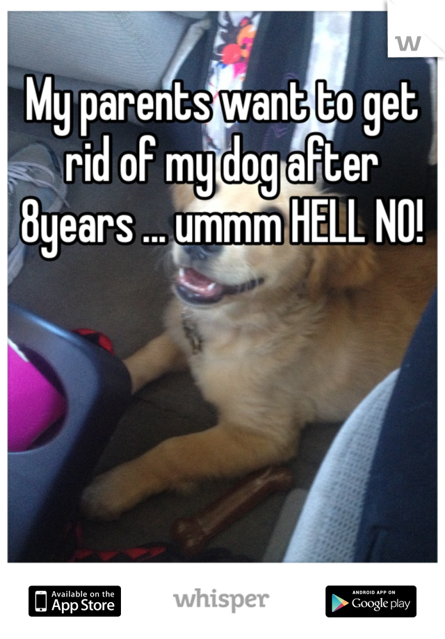 My parents want to get rid of my dog after 8years ... ummm HELL NO! 