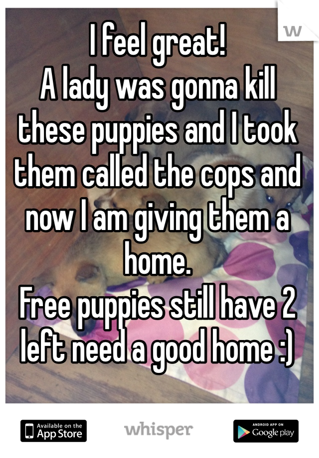 I feel great!
A lady was gonna kill these puppies and I took them called the cops and now I am giving them a home.
Free puppies still have 2 left need a good home :)