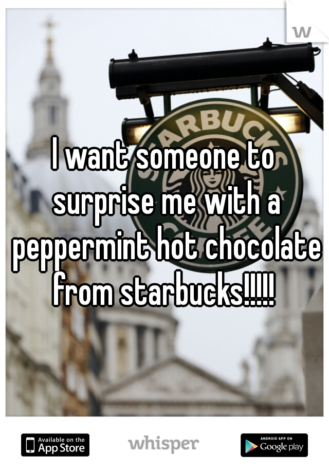 I want someone to surprise me with a peppermint hot chocolate from starbucks!!!!! 