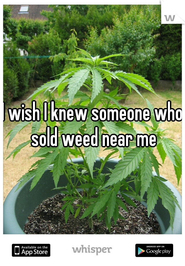 I wish I knew someone who sold weed near me