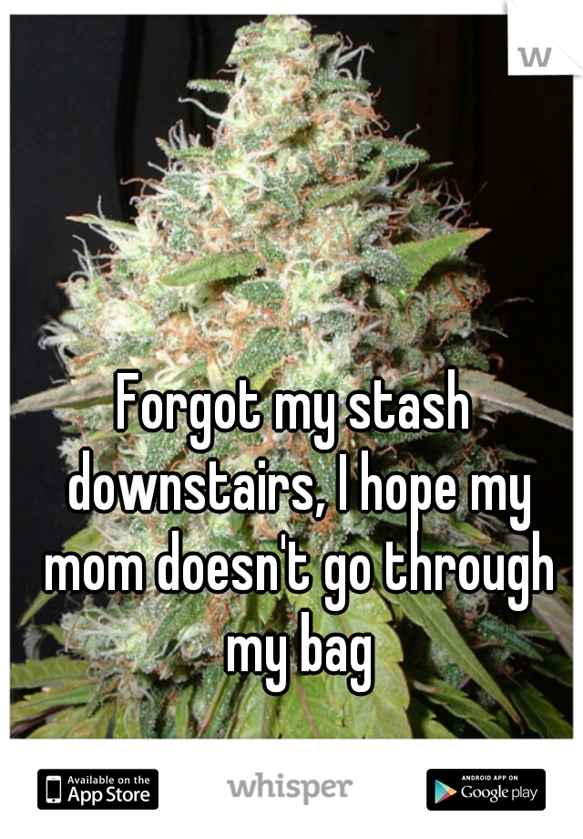 Forgot my stash downstairs, I hope my mom doesn't go through my bag