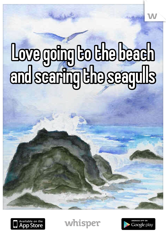 Love going to the beach and scaring the seagulls
 